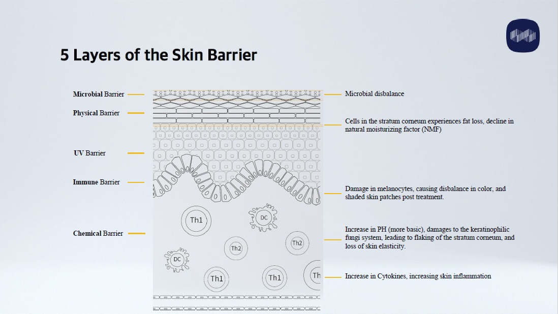 5 Layers of the Skin Barrier